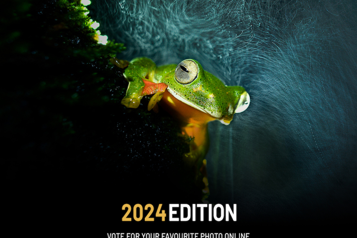 Environmental Photography Award 2024: online voting open