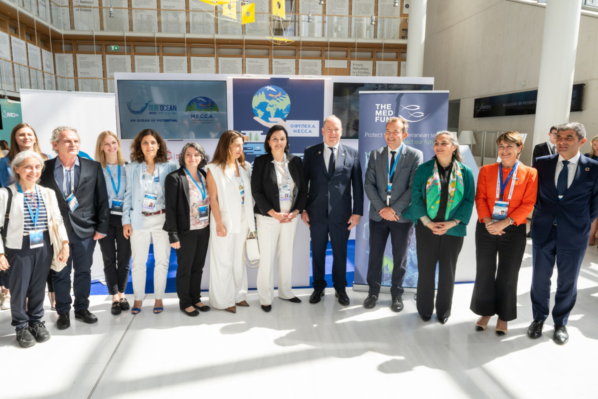 The Monk Seal Alliance and The MedFund join forces with the Natural Environment and Climate Change Agency (NECCA) to strengthen conservation action in Greece